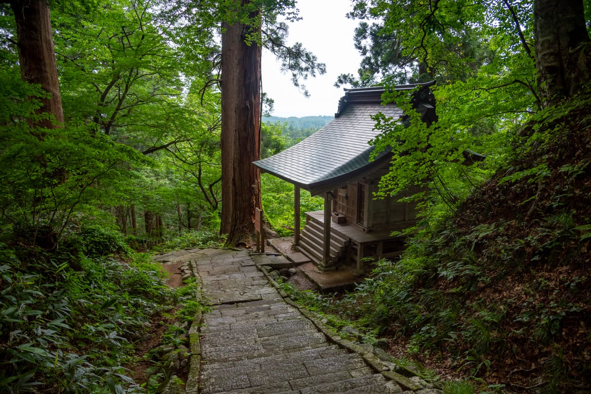羽黒山の杉並木の石段